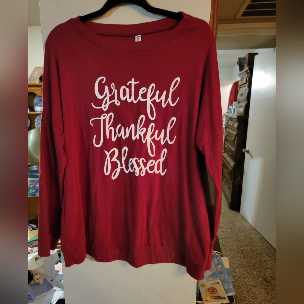 Sz L Lightweight sweatshirt